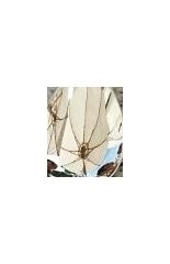 Comprendre les crises (56) Théodore ZELDIN Histoire des passions françaises&nbsp;1848-1945.