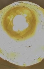 Comprendre les crises (64) Intelligence artificielle et « dé-coïncidence&nbsp;»