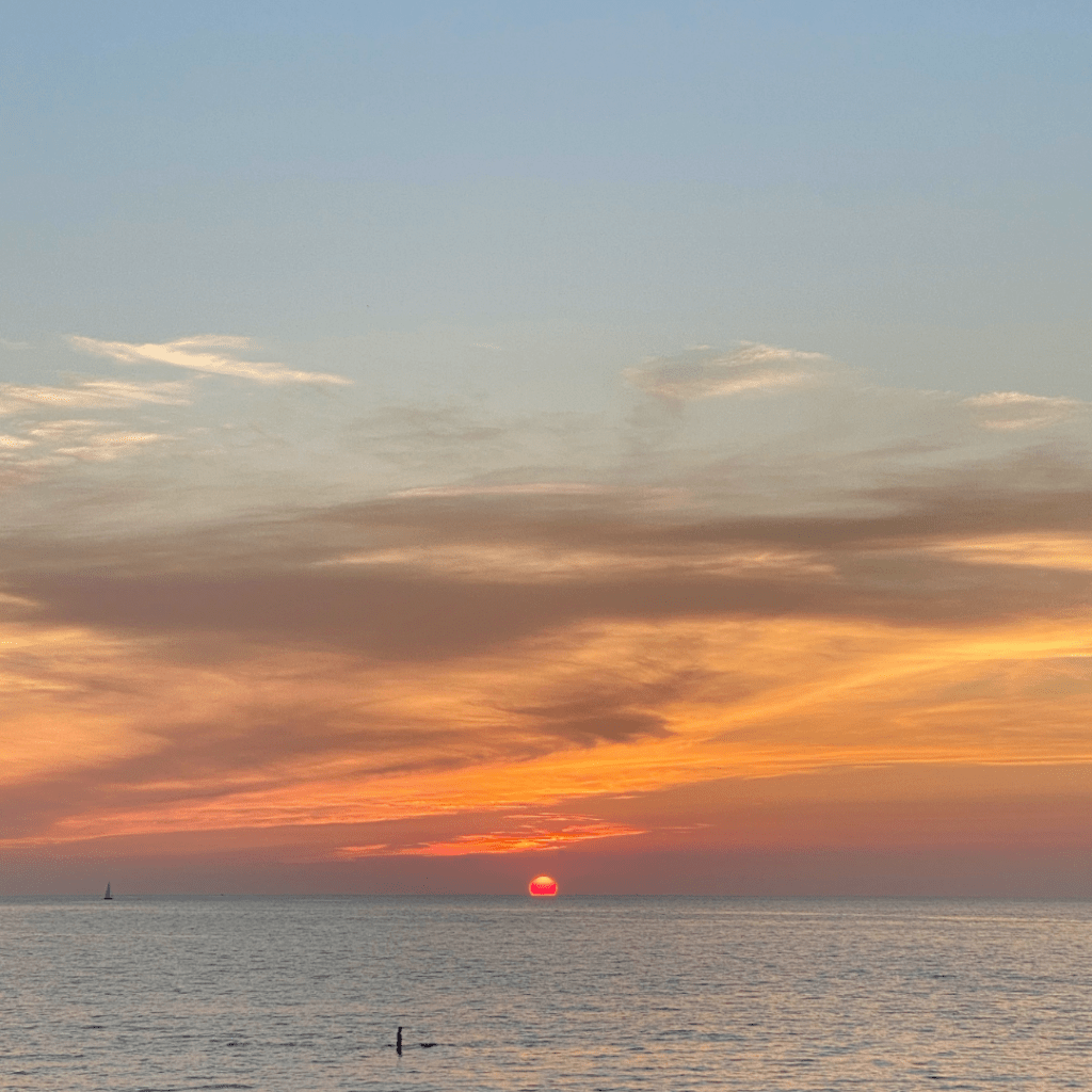 Comprendre les crises (102) Vers une sécurité sanitaire&nbsp;?