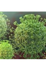 Comprendre les crises (80) Coronavirus : Crise annoncée, freins à la décision et surprise&nbsp;prévisible.