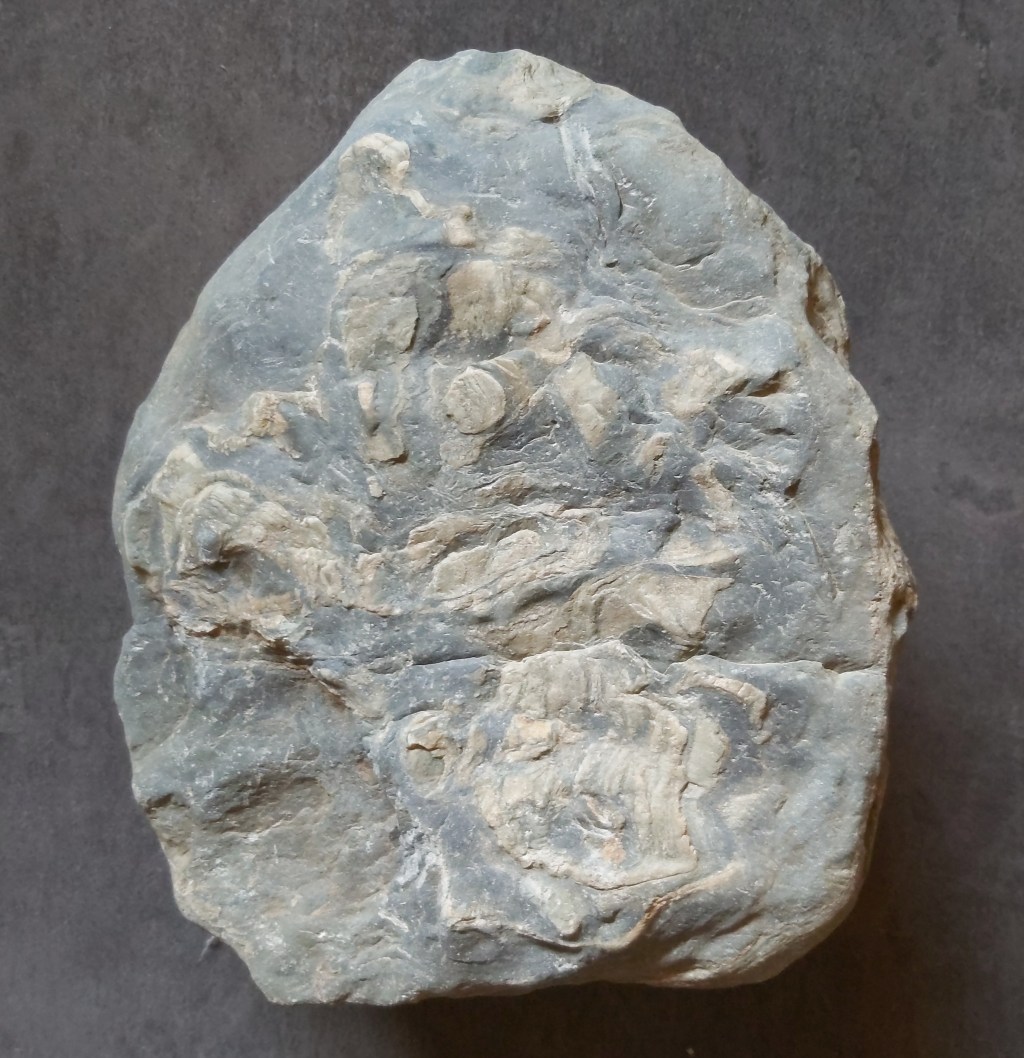 Comprendre les crises (82) Coronavirus, pandémie, éthique et théorie de la&nbsp;disponibilité