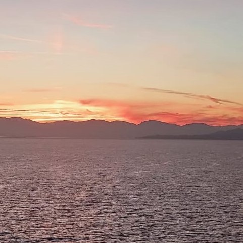 Comprendre les crises (111) Combattre le&nbsp;mal